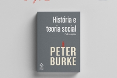 Livro História e teoria social