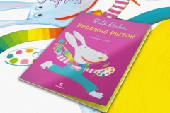 Livro Pedrinho Pintor